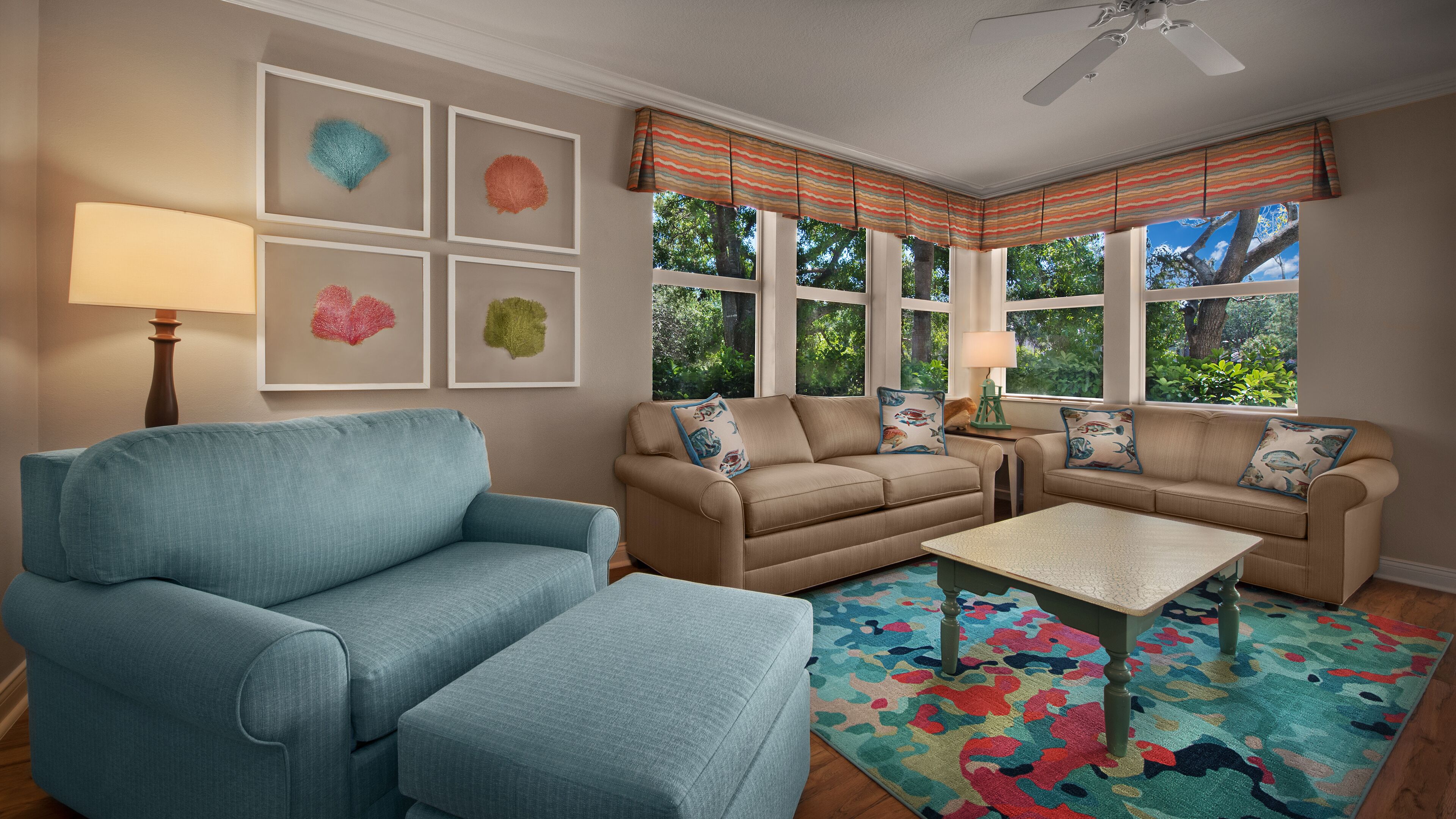 tv, dvd player, pay films