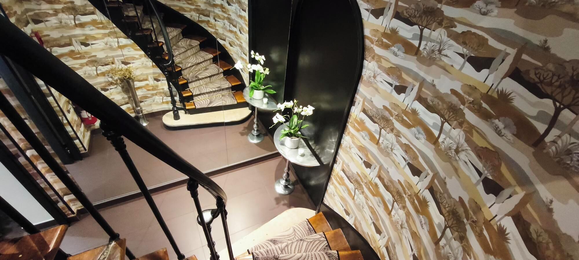 Foto - Hotel Elysées Bassano