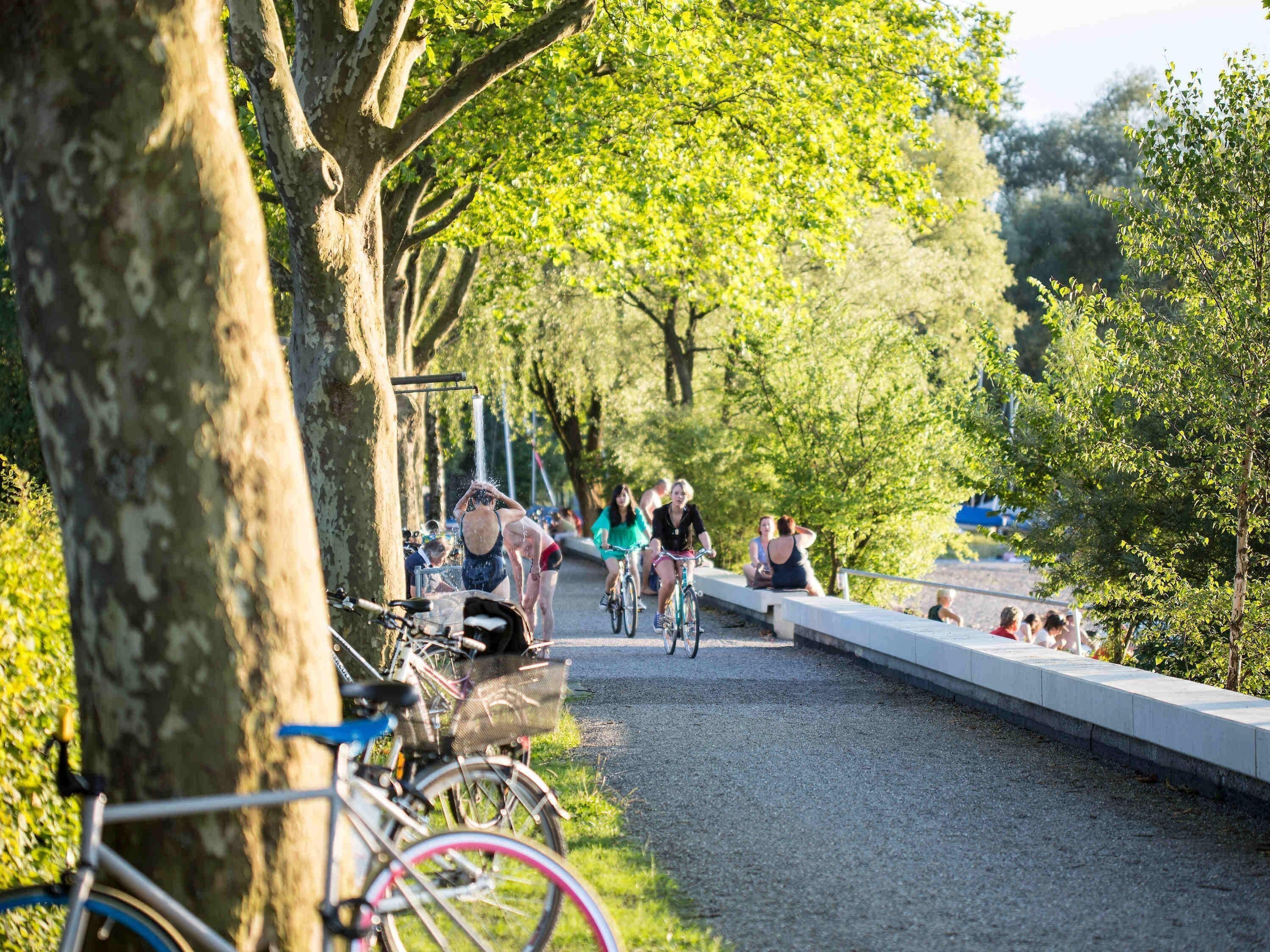 Un sendero bordeado de árboles con bicicletas estacionadas al lado, un puente y gente andando en bicicleta y caminando.