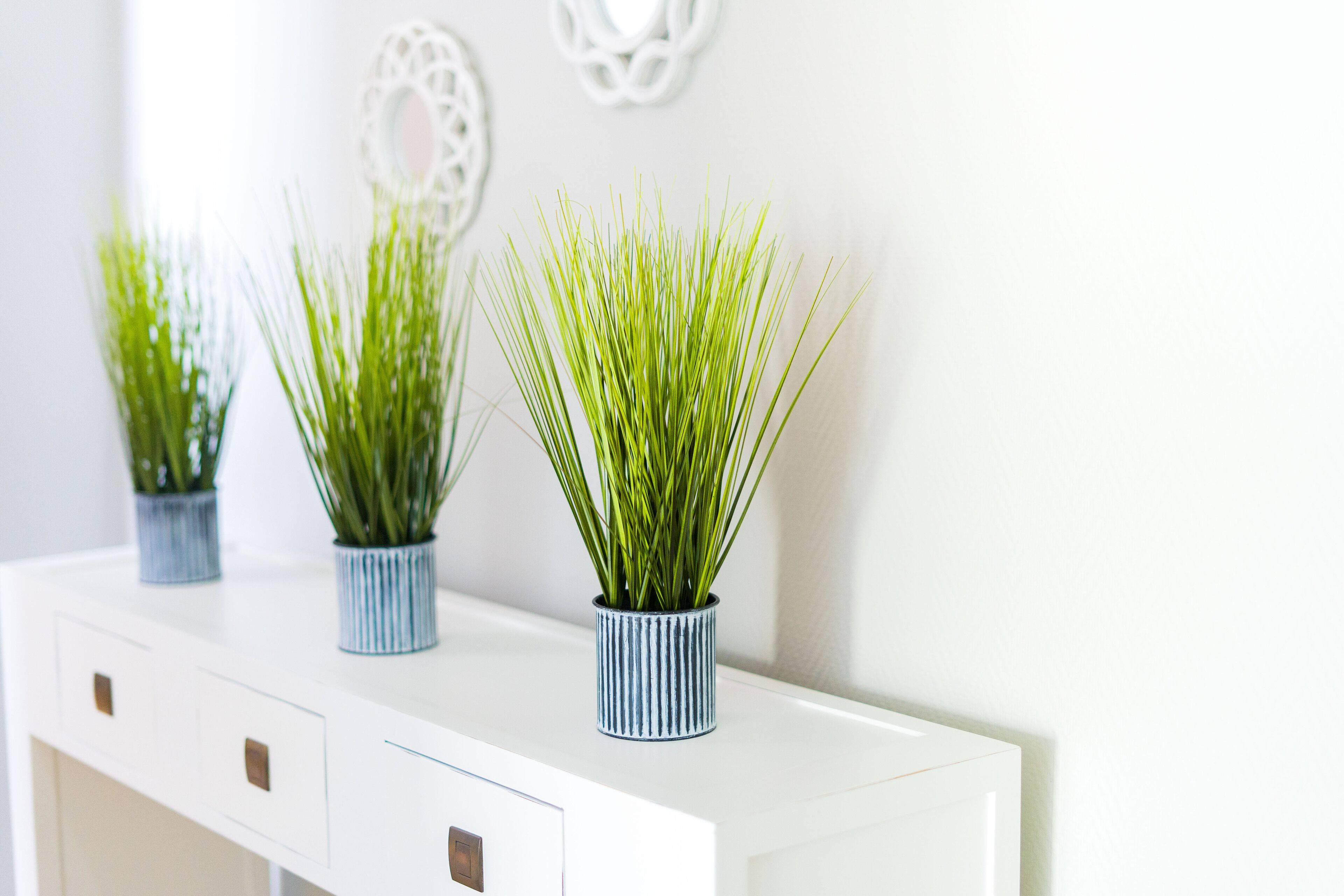 Tres macetas con plantas sobre un estante blanco frente a una pared blanca.