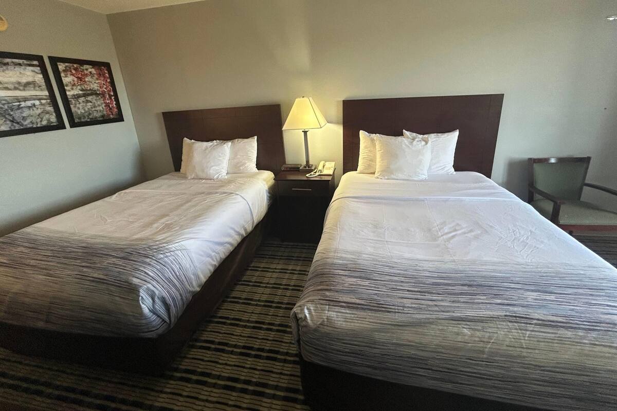 Una habitación de hotel con dos camas individuales, una mesita de noche con lámpara y una silla.