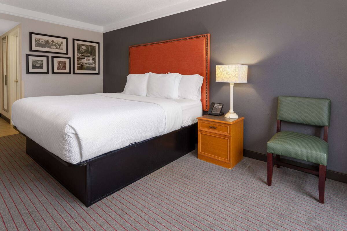 A hotel room with a bed, a nightstand with a lamp, a chair, and framed pictures on the wall.