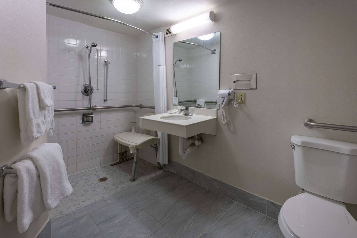 A bathroom with a shower, toilet, sink, and a mirror.