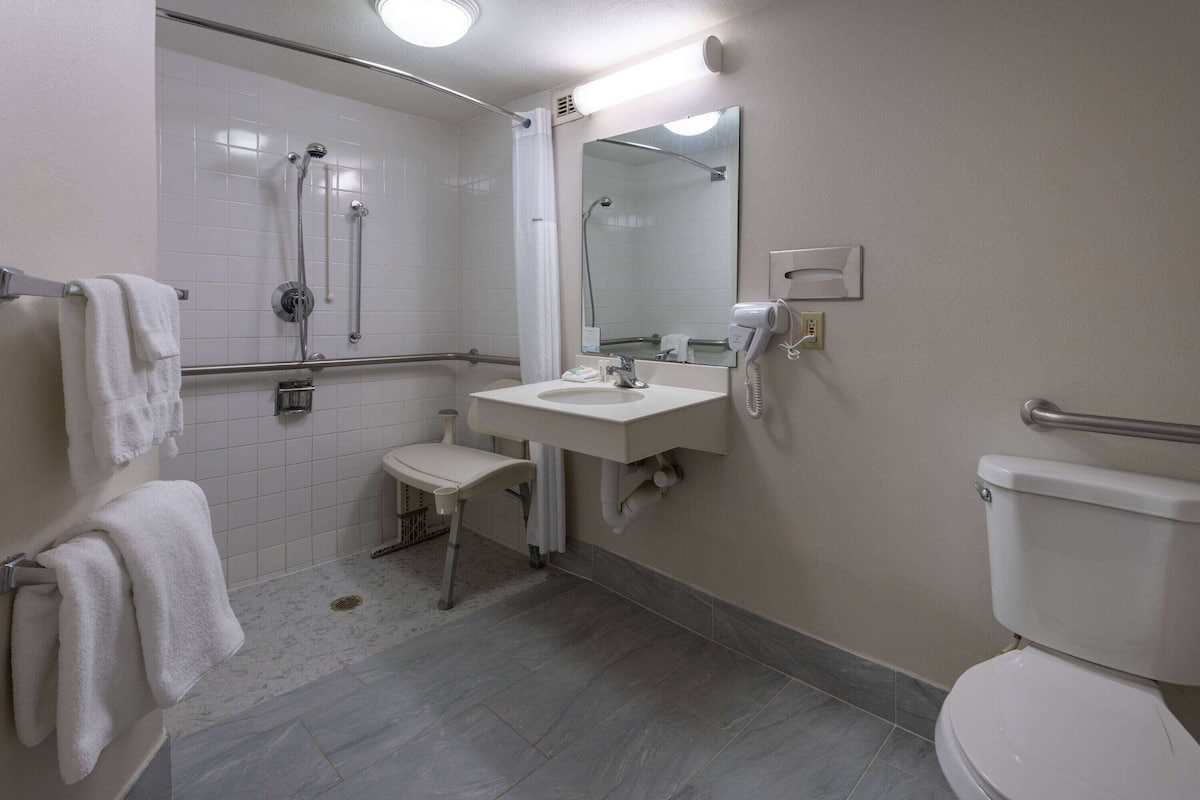 Deluxe-værelse - 1 queensize-seng - handicapvenligt (Mobility,Roll-In Shower, Pet-Friendly) | Premium-sengetøj, skrivebord, mørklægningsgardiner