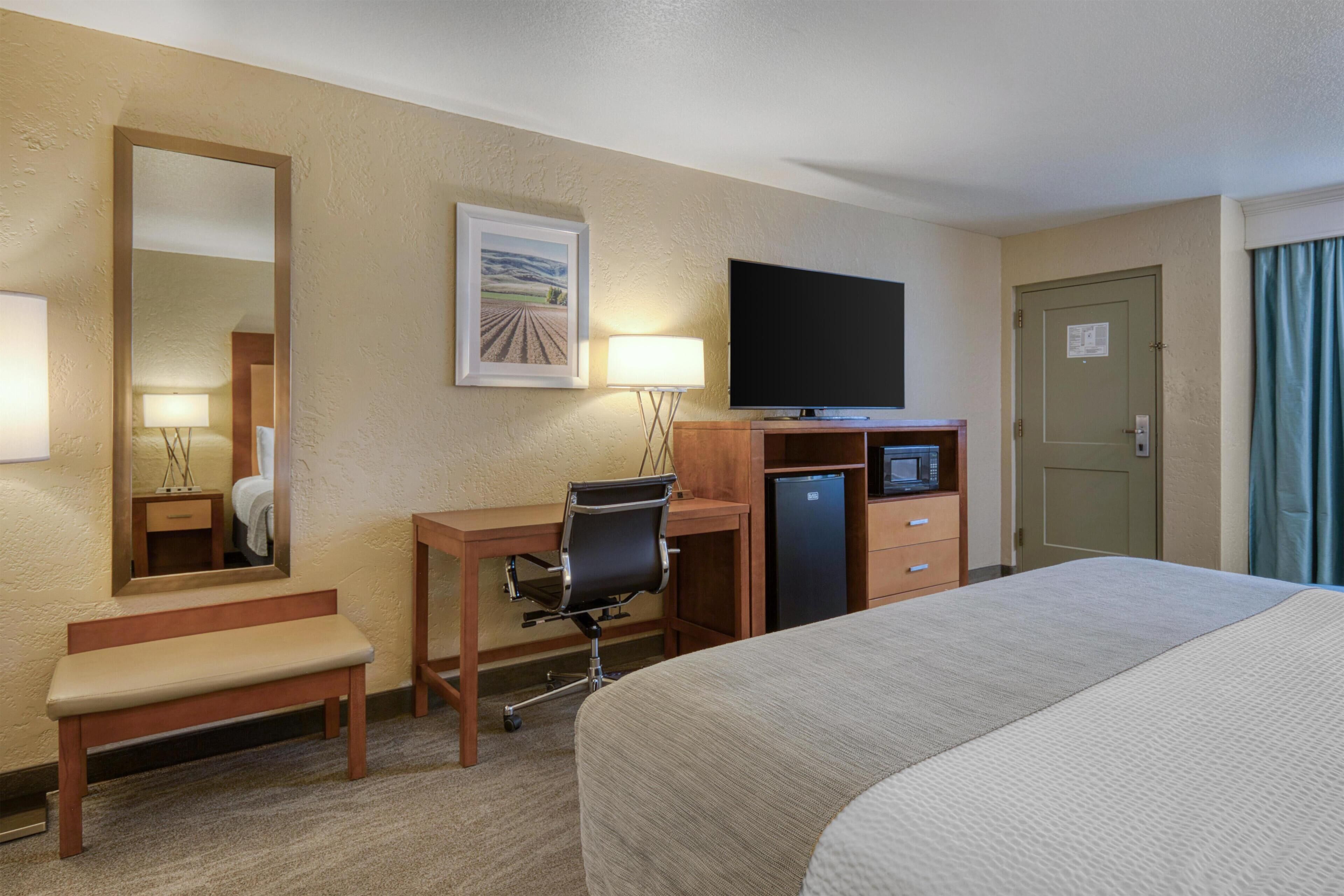 Standard Room, 1 King Bed, Refrigerator & Microwave, Poolside | Blackout drapes, iron/ironing board, rollaway beds, free WiFi