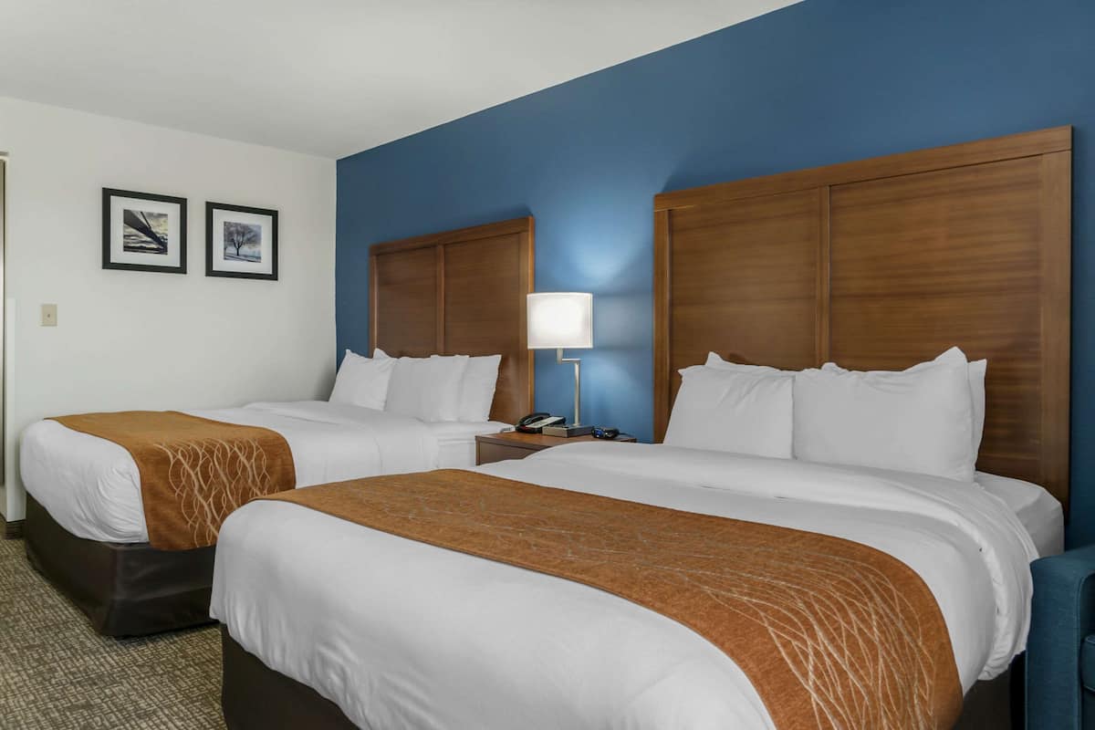A hotel room with two beds, a nightstand with a lamp, and two framed pictures on the wall.