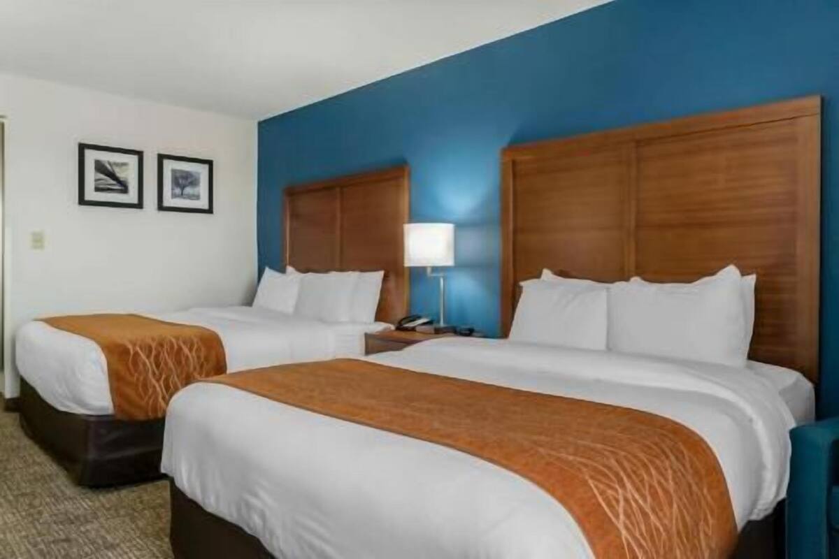 A hotel room with two beds, a blue accent wall, and a lamp on the nightstand.