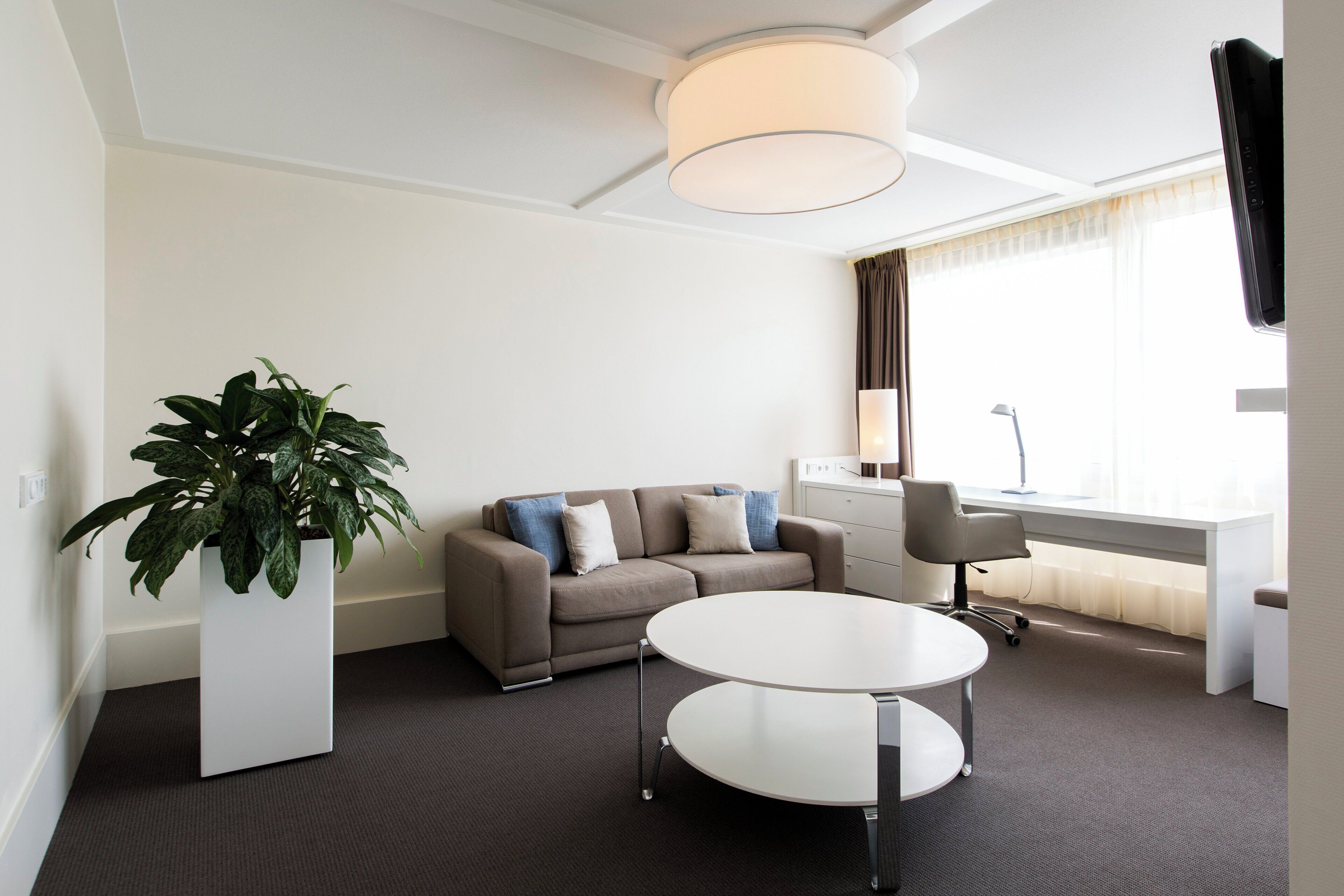Et moderne hotelværelse med sofa, rundt bord, en potteplante og et skrivebord med lampe.