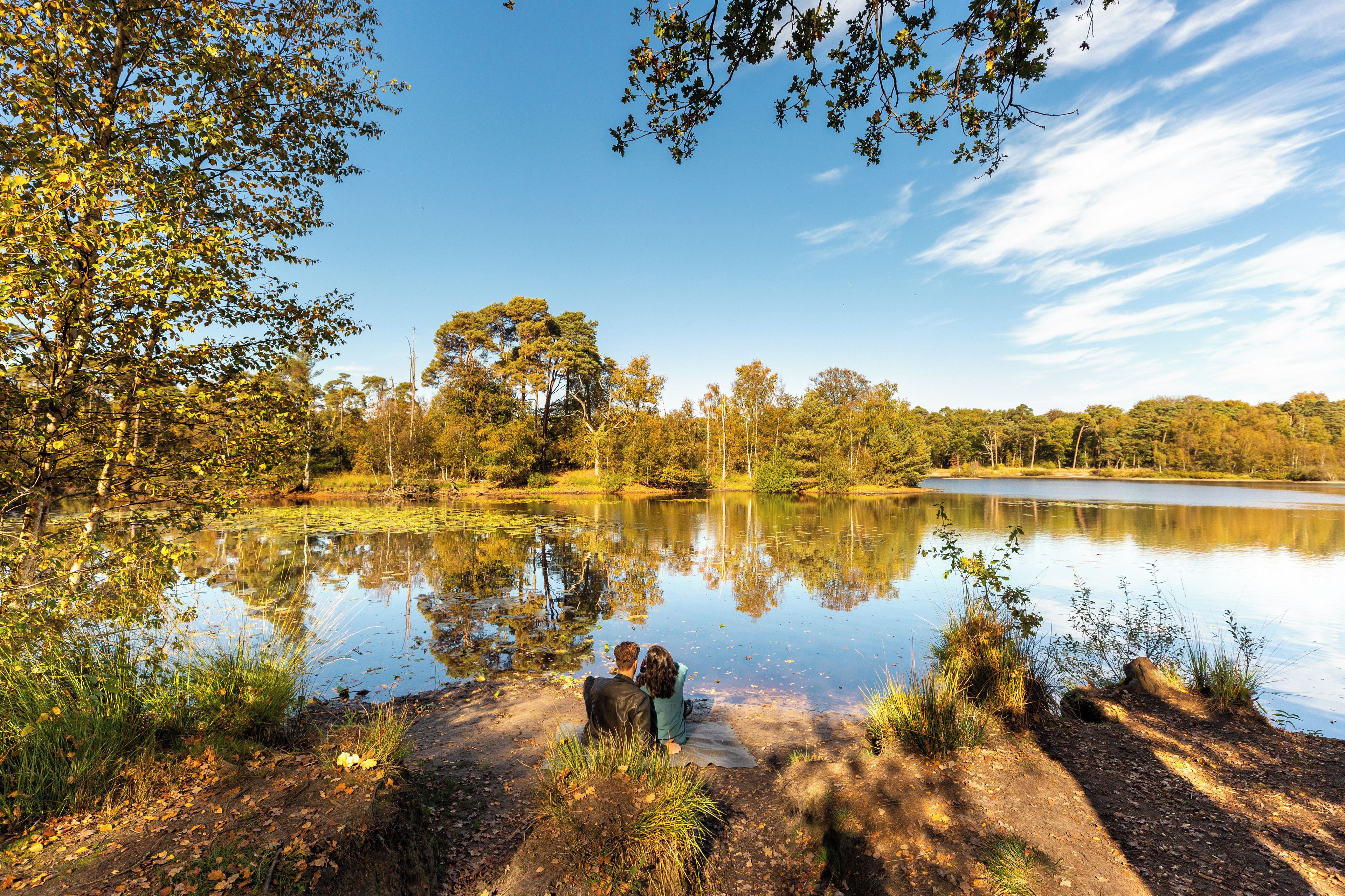 A natural landscape with a lake, trees, and a clear sky.