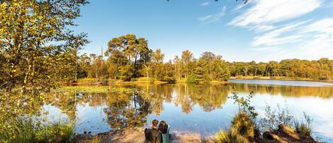 A natural landscape with a lake, trees, and a clear sky.