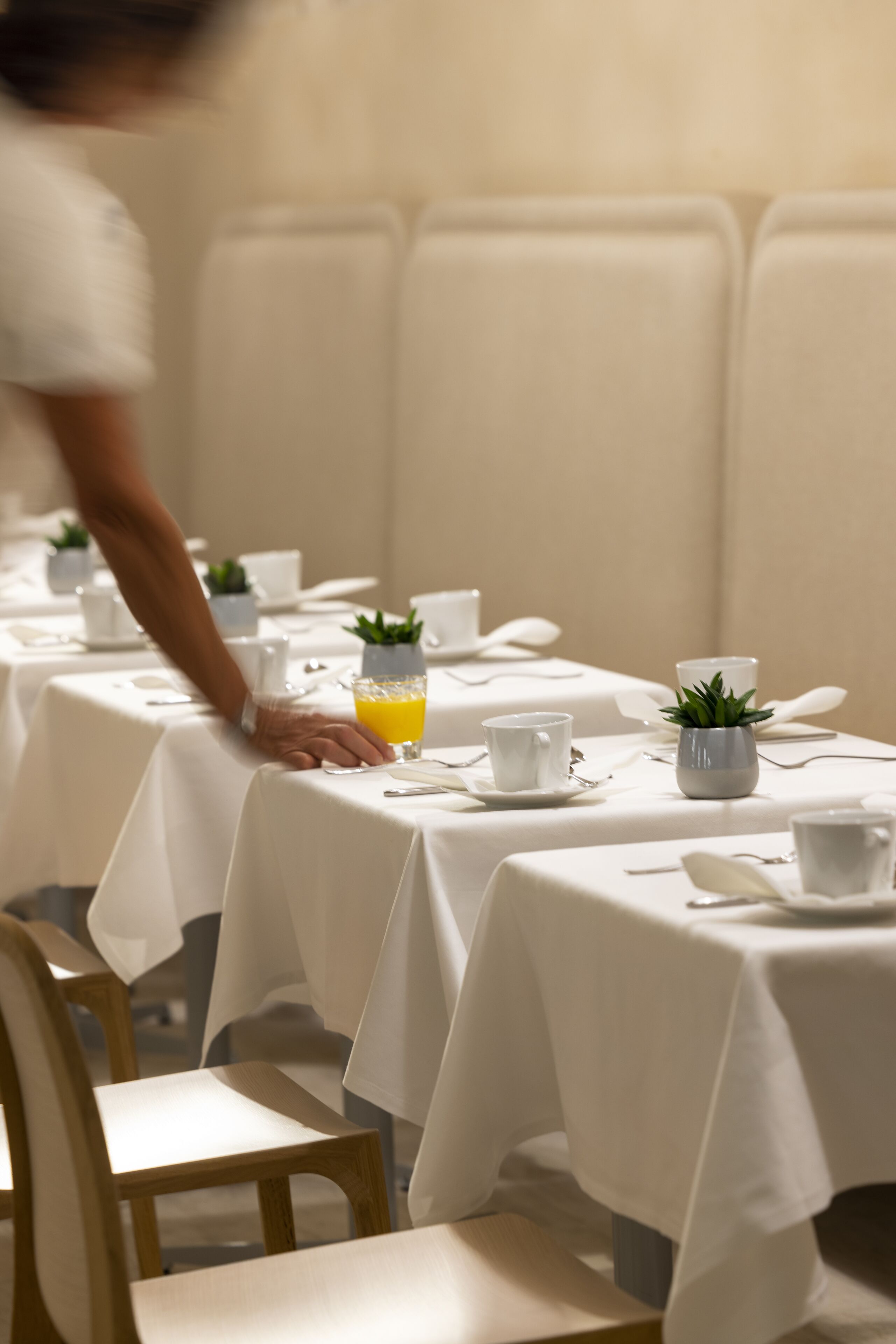 Un comedor con mesas cubiertas por manteles blancos, cada una dispuesta con platos, tazas y una pequeña planta en maceta.