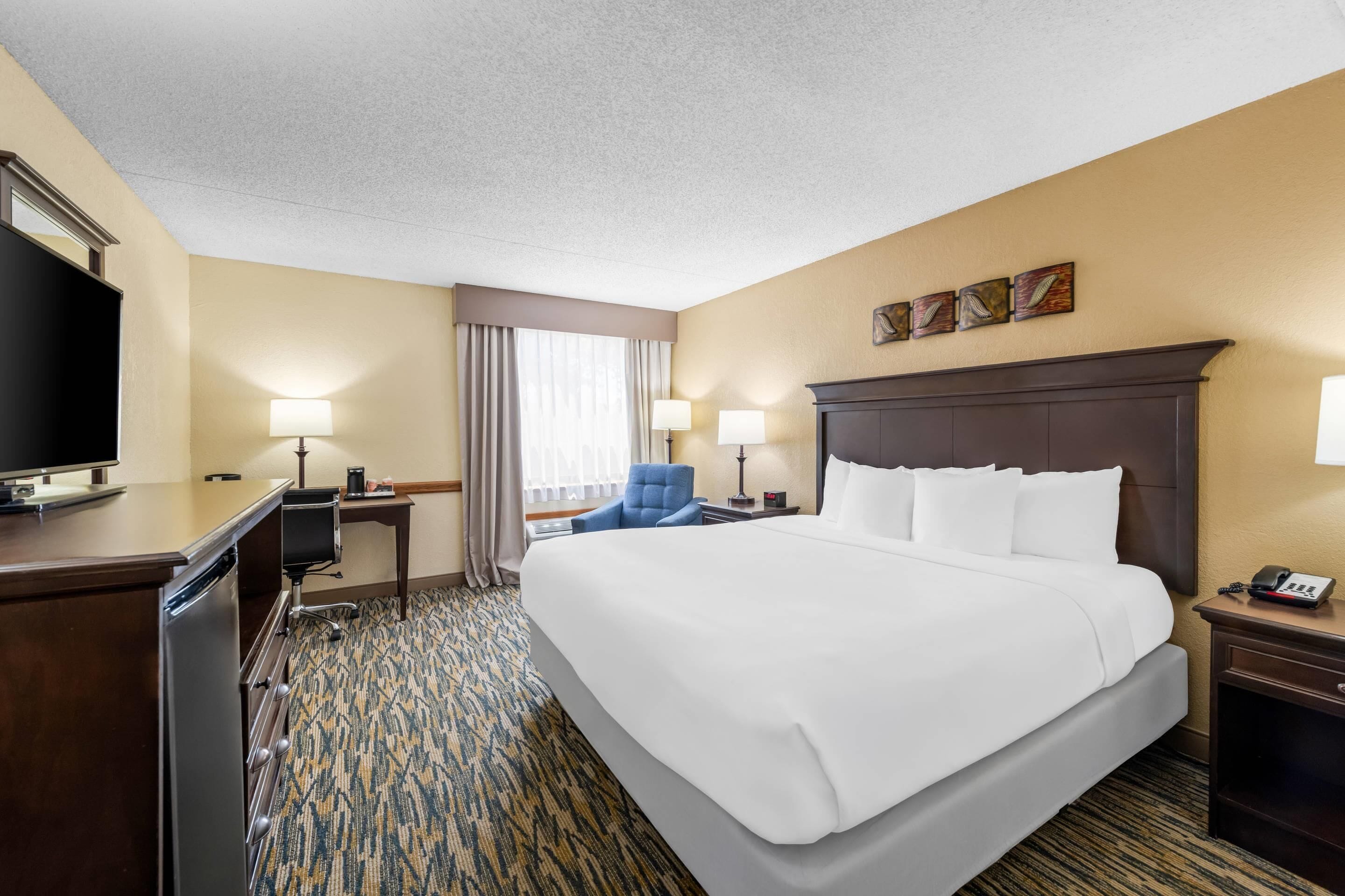 Standard Room, 1 King Bed, Accessible, Non Smoking | Blackout drapes, soundproofing, iron/ironing board, cribs (free)