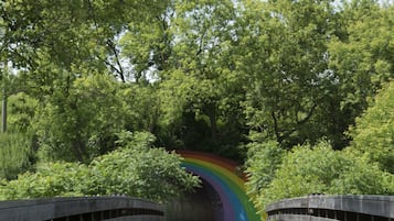 Un puente de madera con un arcoíris pintado en el lateral, rodeado de árboles verdes y frondosos.