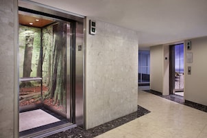 Servicio de la propiedad