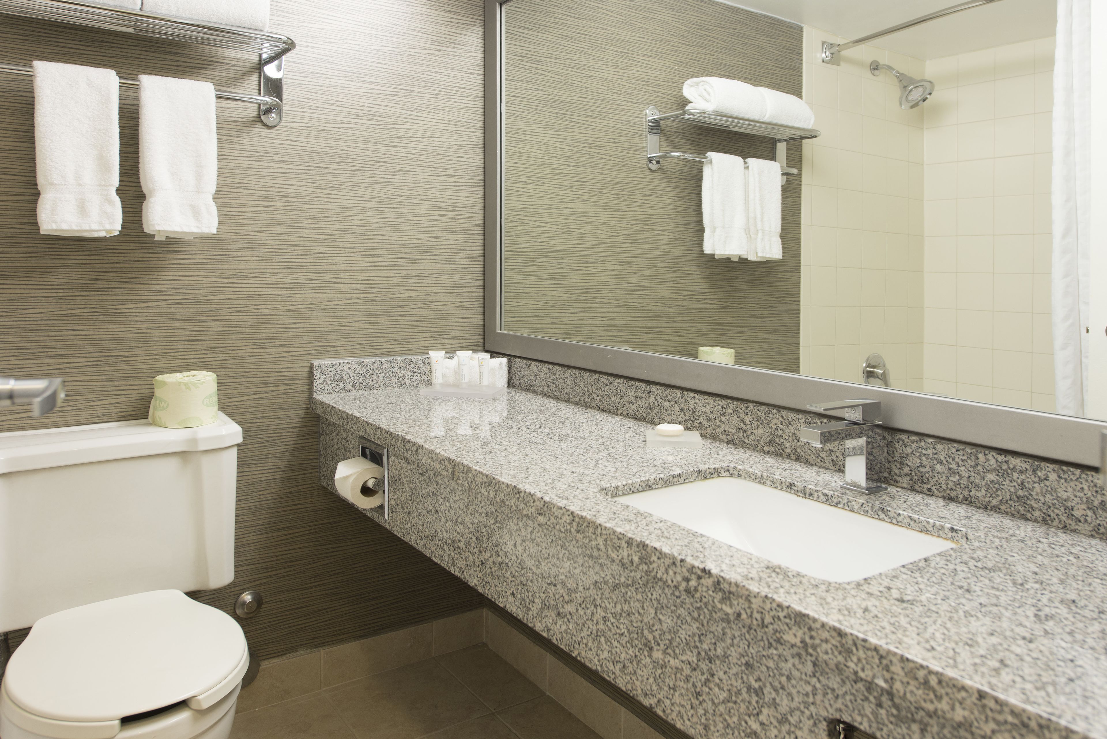 Een badkamer met een wastafel van graniet, een toilet, een handdoekhouder en een spiegel.