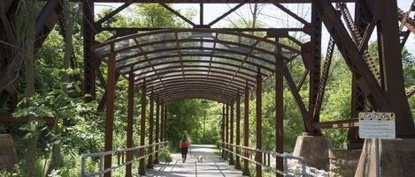 A pedestrian bridge with a metal structure and a canopy, surrounded by greenery.