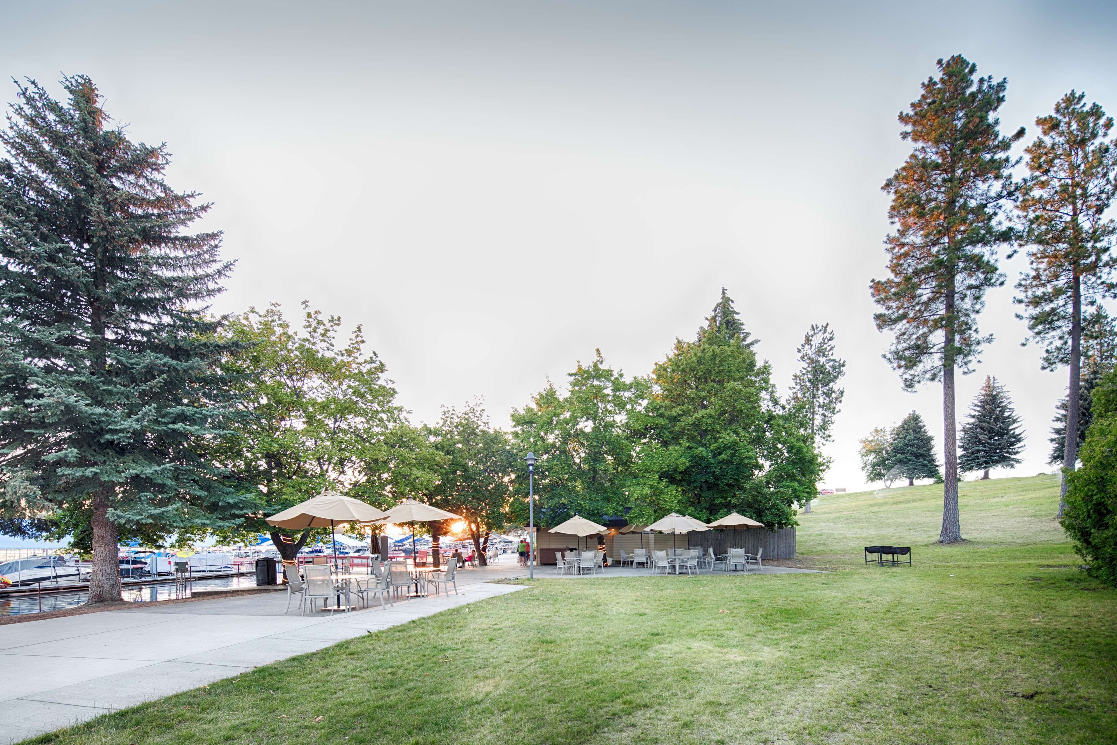 An outdoor patio area with tables and chairs, surrounded by trees and a grassy hill.