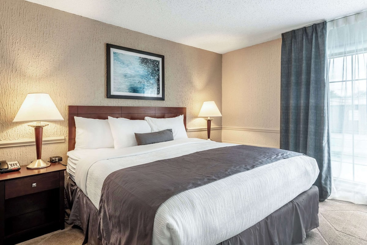 Egyptian cotton sheets, premium bedding, desk, laptop workspace