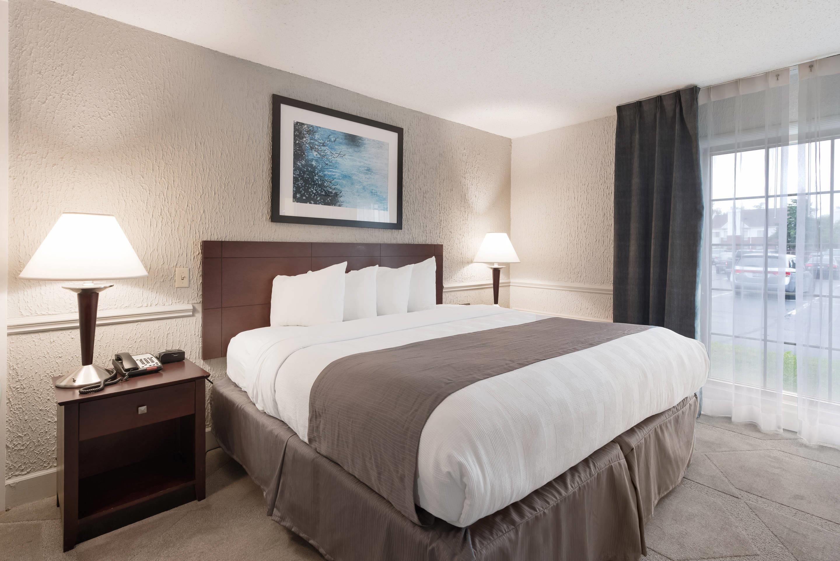 A hotel room with a large bed, two bedside tables with lamps, a framed picture on the wall, and a view of the outside through a window.