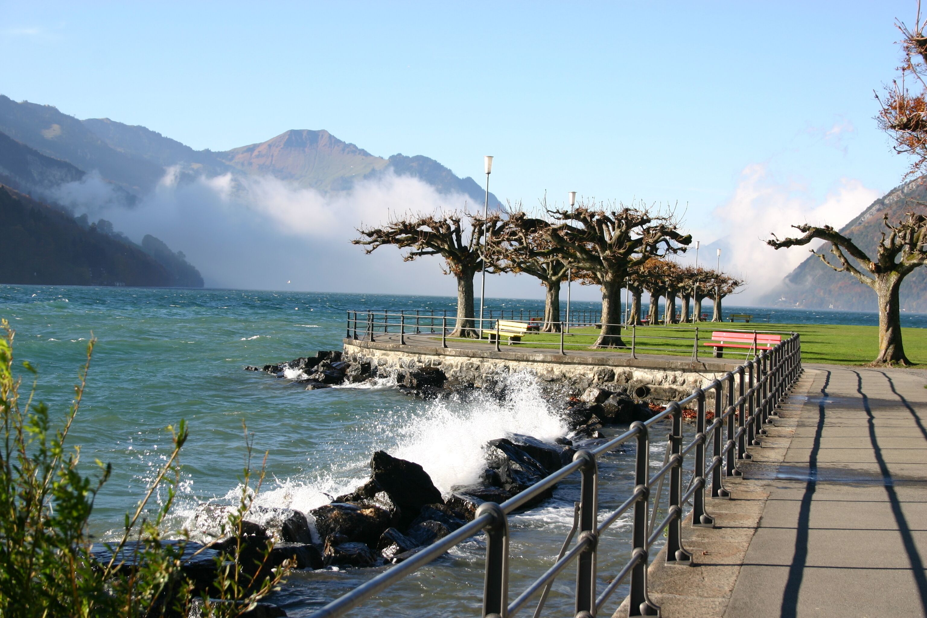A coastal walkway with a railing, benches, and trees.