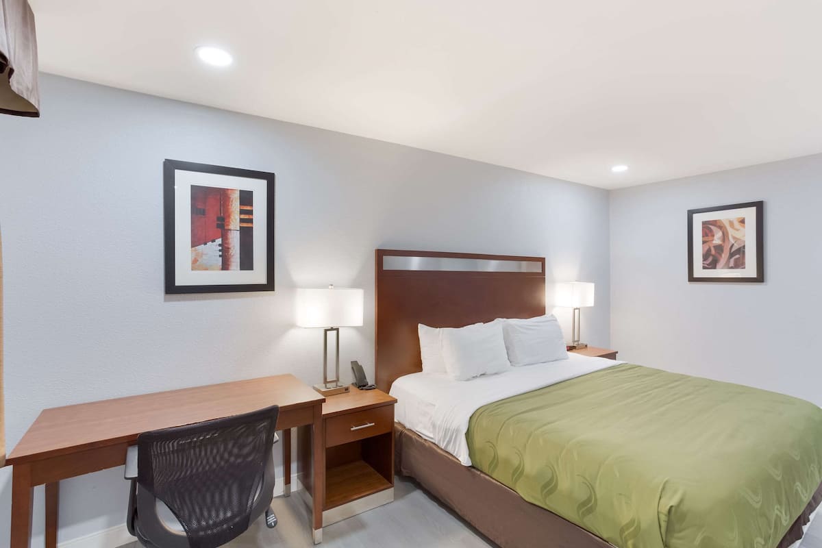 Standard Room, 1 King Bed, Non Smoking | Premium bedding, down comforters, Tempur-Pedic beds, laptop workspace