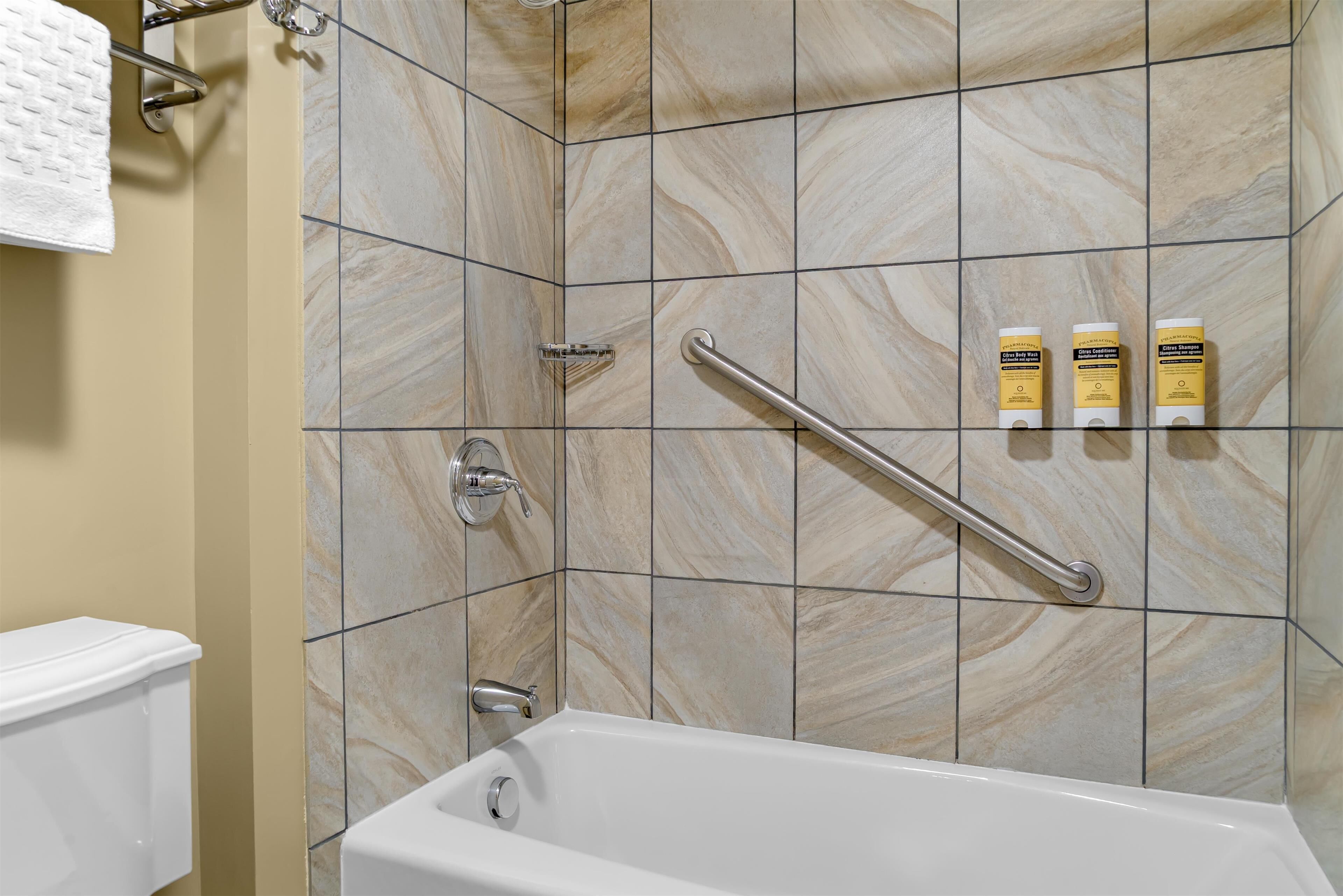 hydromassage showerhead, free toiletries, hair dryer, towels