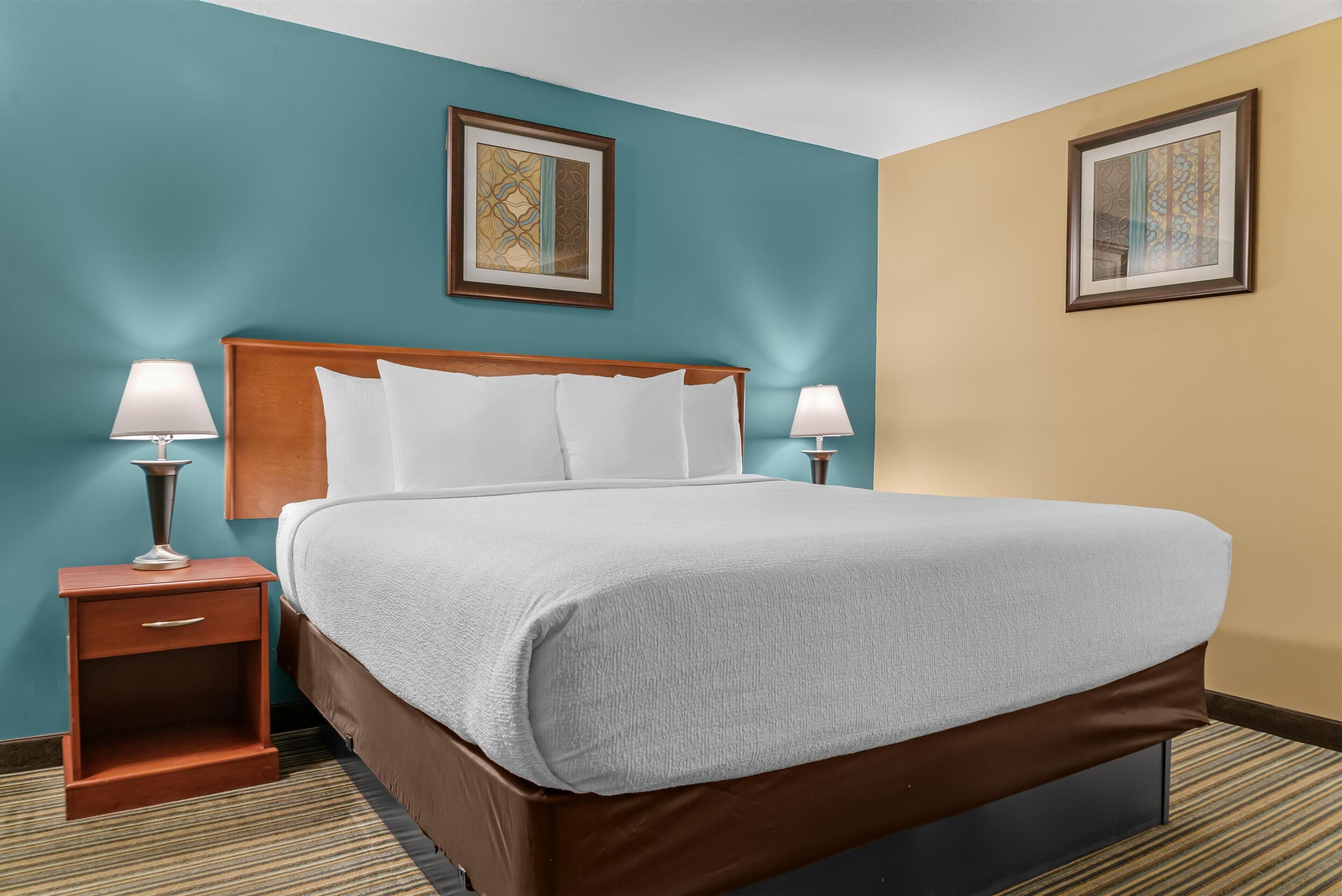 standard room, 1 king bed, non smoking, microwave | premium bedding, pillow-top beds, blackout curtains, iron/ironing board