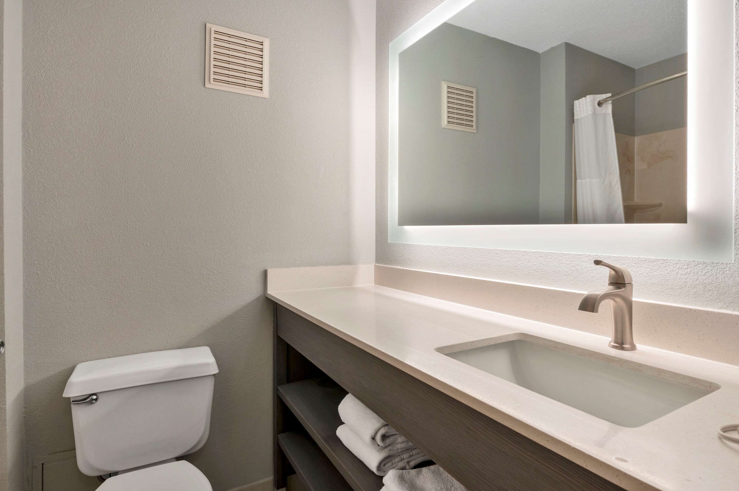 A bathroom with a toilet, a sink, a mirror, and a shower curtain.