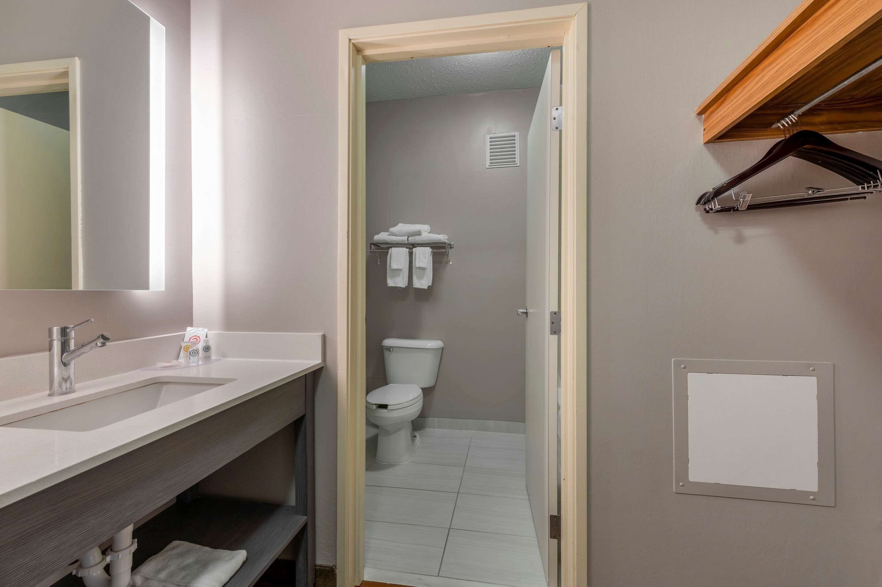 A bathroom with a sink, mirror, and a toilet.
