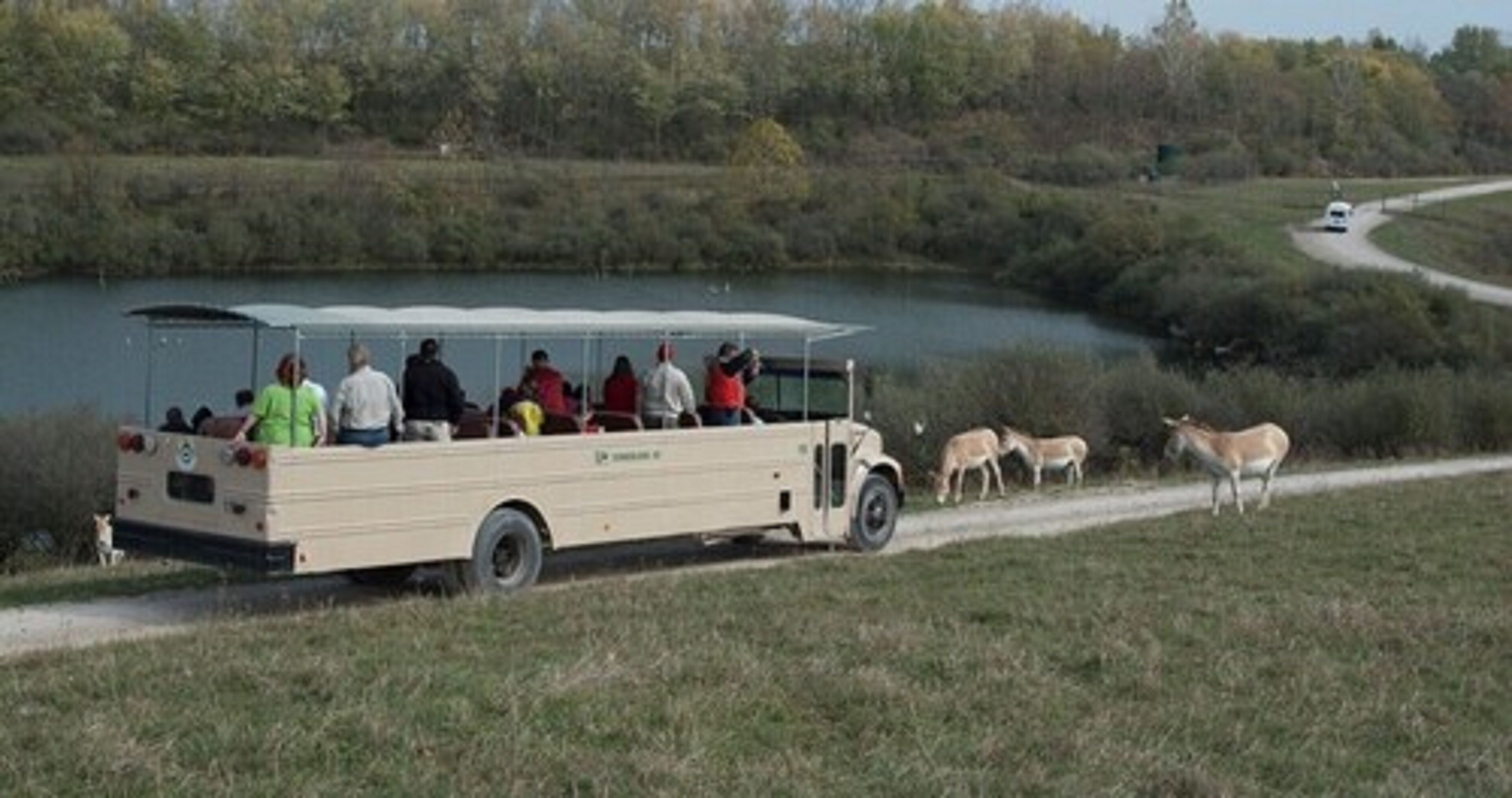 Een toeristenbus geparkeerd bij een meer, met passagiers aan boord en herten op de achtergrond.