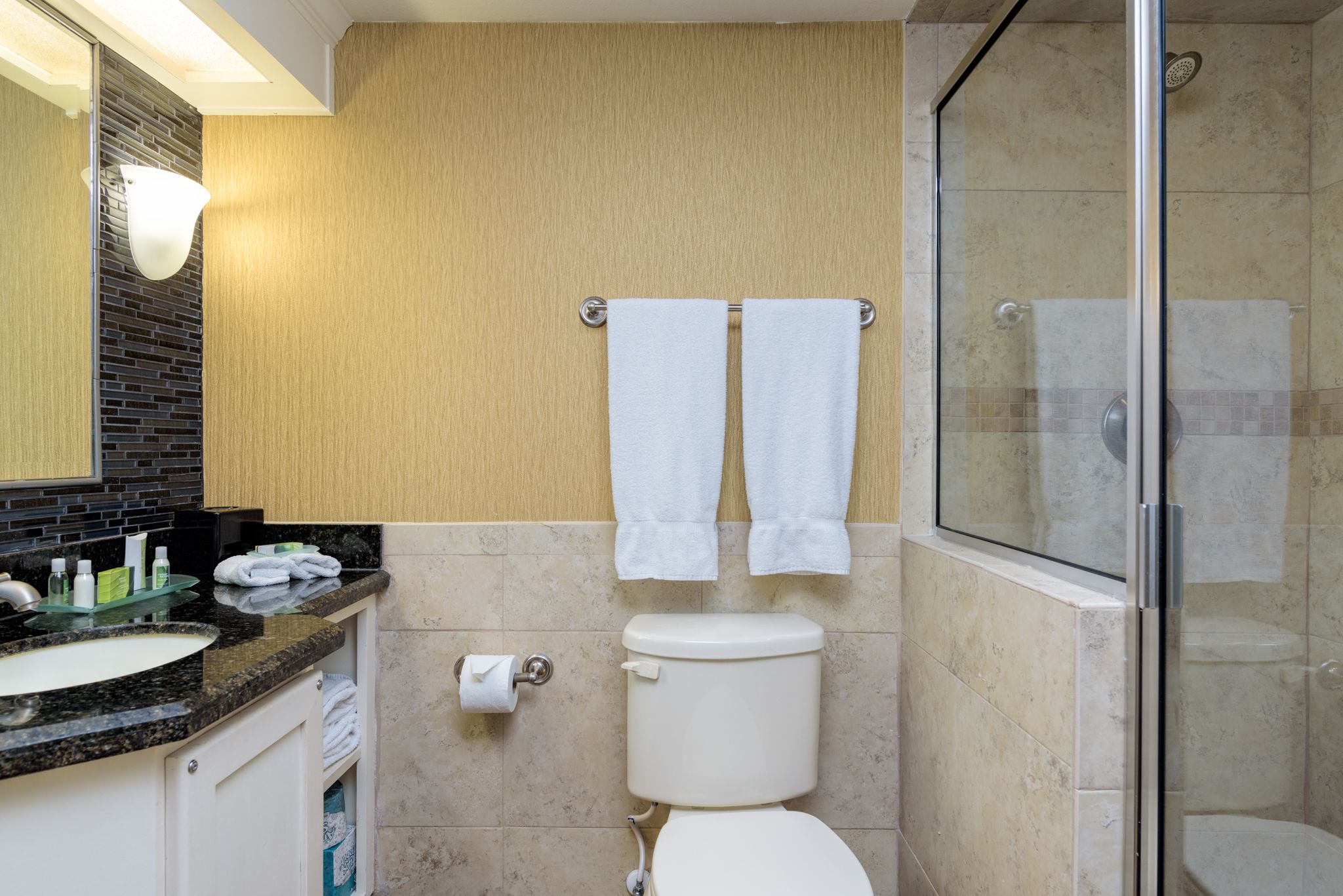 Een badkamer met een granieten aanrechtblad, een toilet, een glazen douchecabine en een handdoekrek met twee handdoeken.