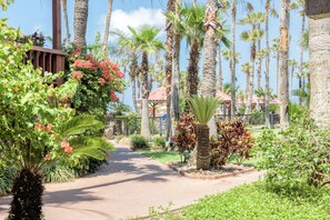 Vista para o jardim