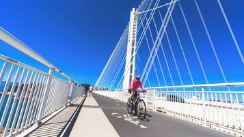 A cyclist on a bridge with white railings and a clear blue sky.