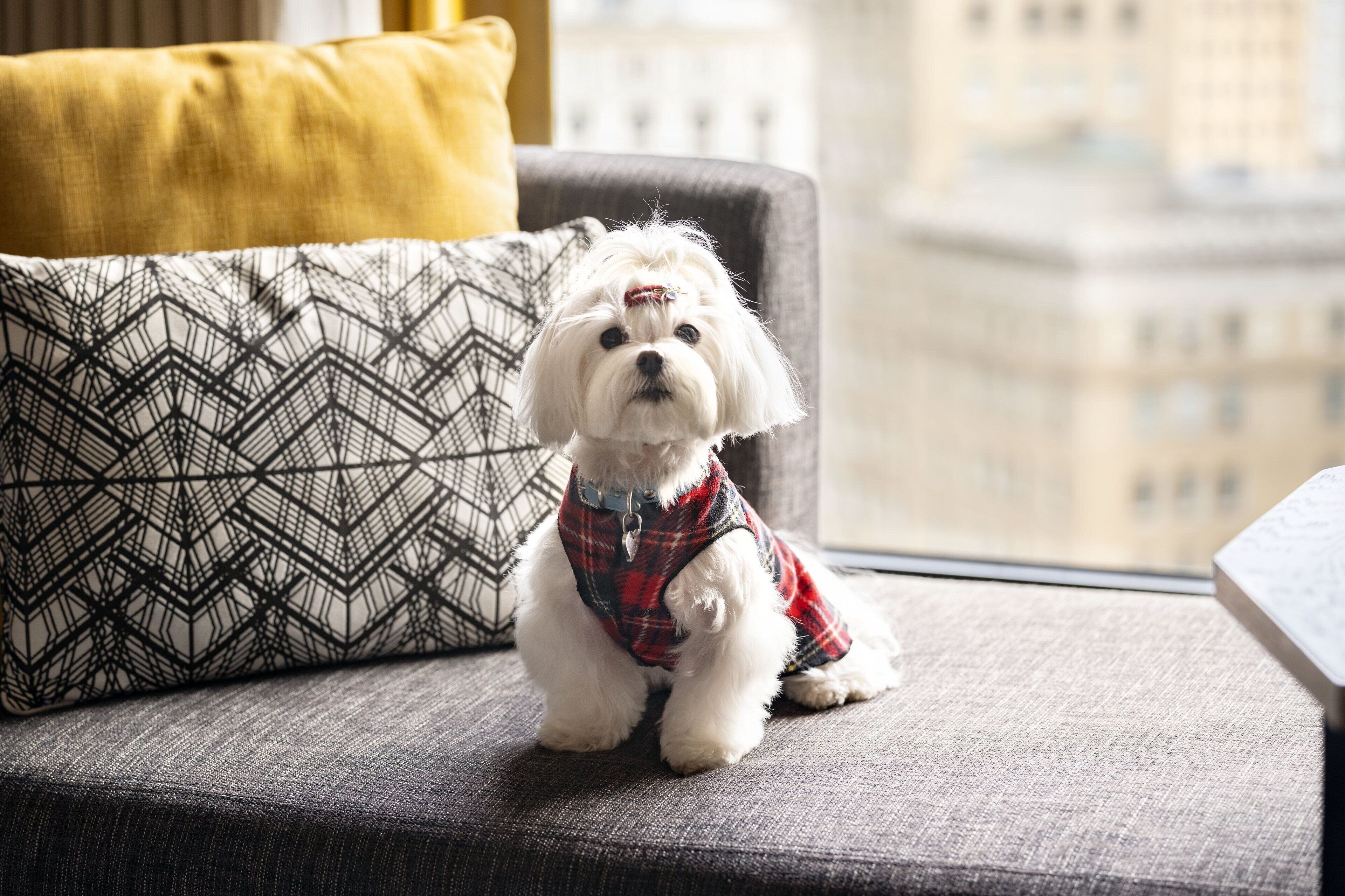 1 bedroom, premium bedding, down duvets, select comfort beds