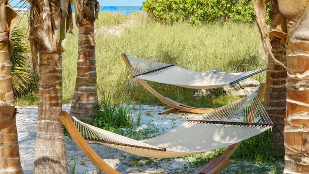 Deux hamacs sont suspendus entre des palmiers sur une plage de sable, offrant une vue sur l’océan et une végétation luxuriante en arrière-plan.