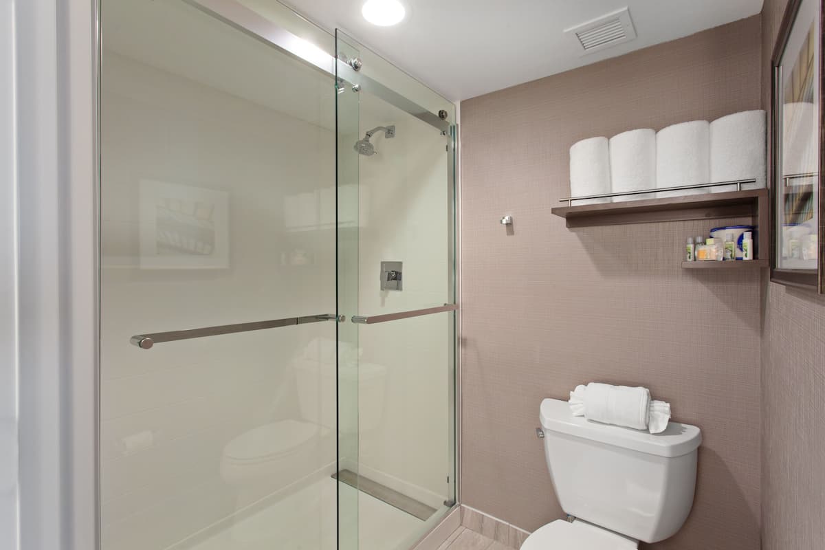 Shower, free toiletries, hair dryer, towels