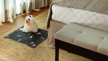 A hotel room with a bed, bedside table, lamp, and a small rug.