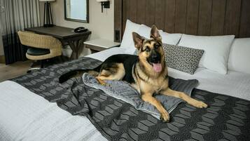 Una habitación de hotel con cama, escritorio, silla y lámpara.
