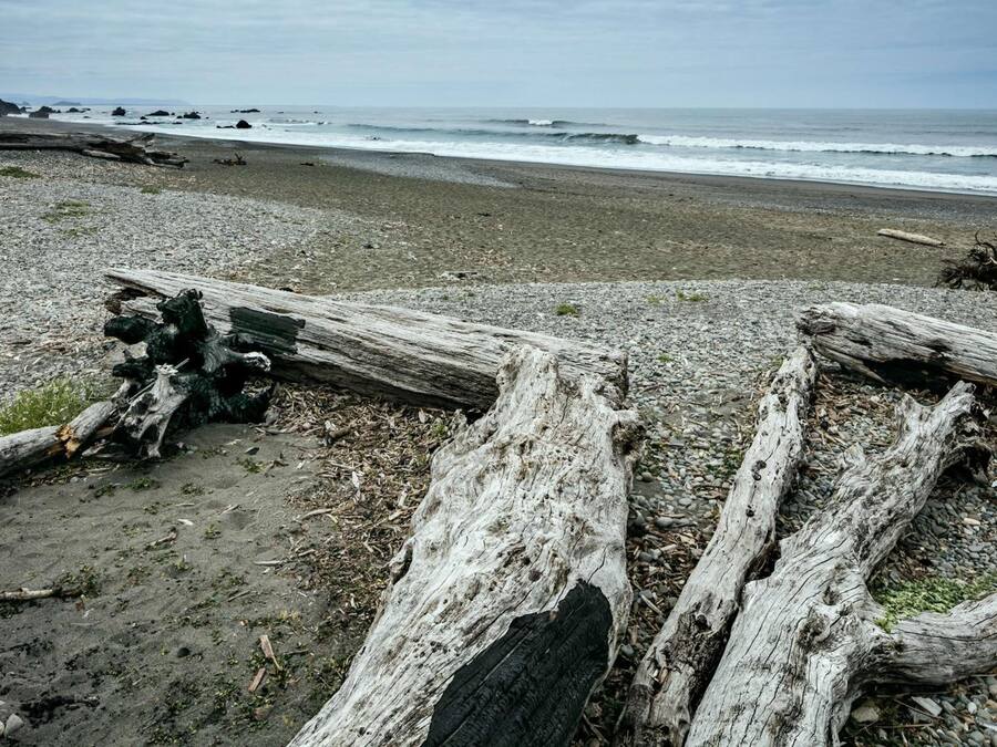 Strand