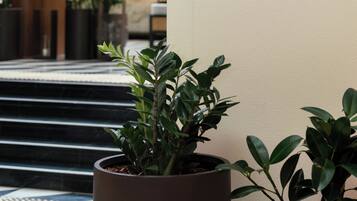 A lobby with a large potted plant, a wall with the inscription 'THE Treasury', and a staircase leading to an upper level.
