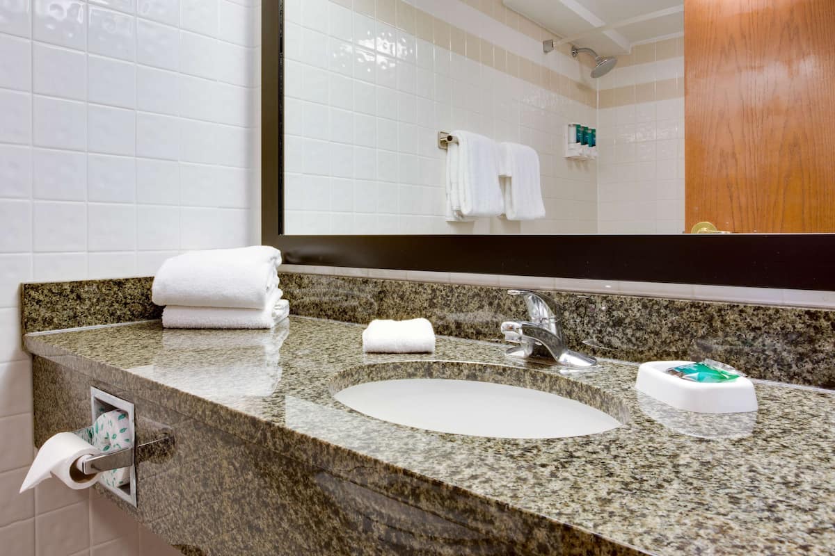 combined shower/bathtub, free toiletries, hair dryer, towels