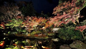 Ein ruhiger Garten mit Teich, Steinen und Bäumen, beleuchtet bei Nacht.