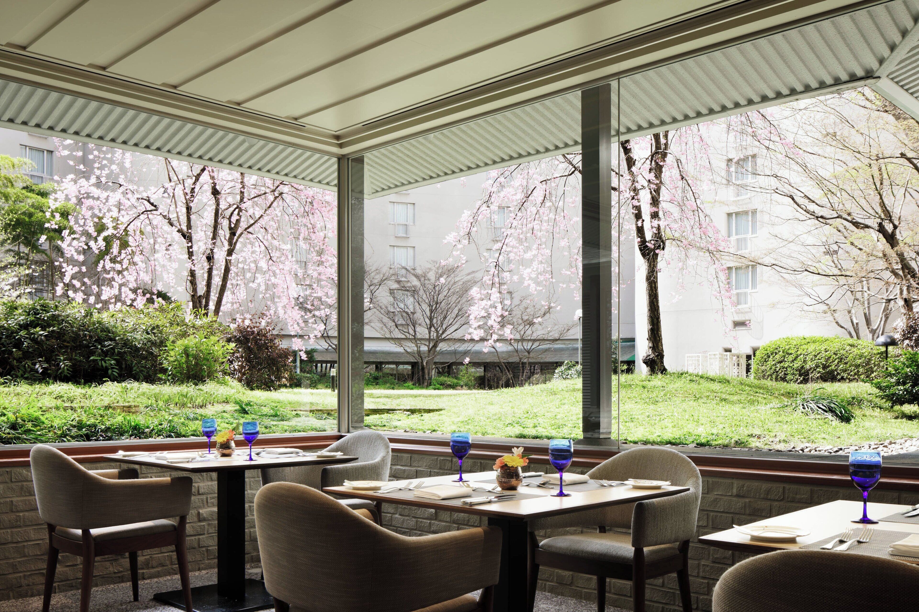 A restaurant with outdoor seating, large windows, and a view of cherry blossoms.