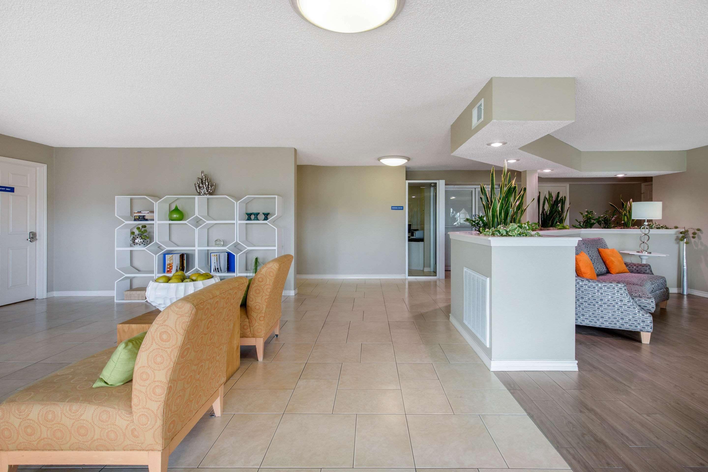 A spacious living area with a sofa, a dining table with chairs, a white console table with plants, and a patterned rug.