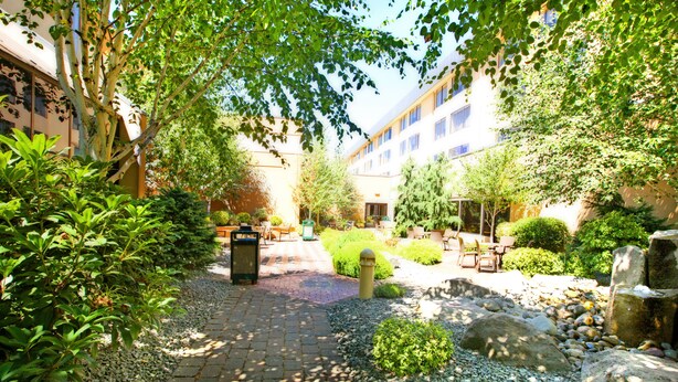 A courtyard with a paved walkway, benches, and potted plants.