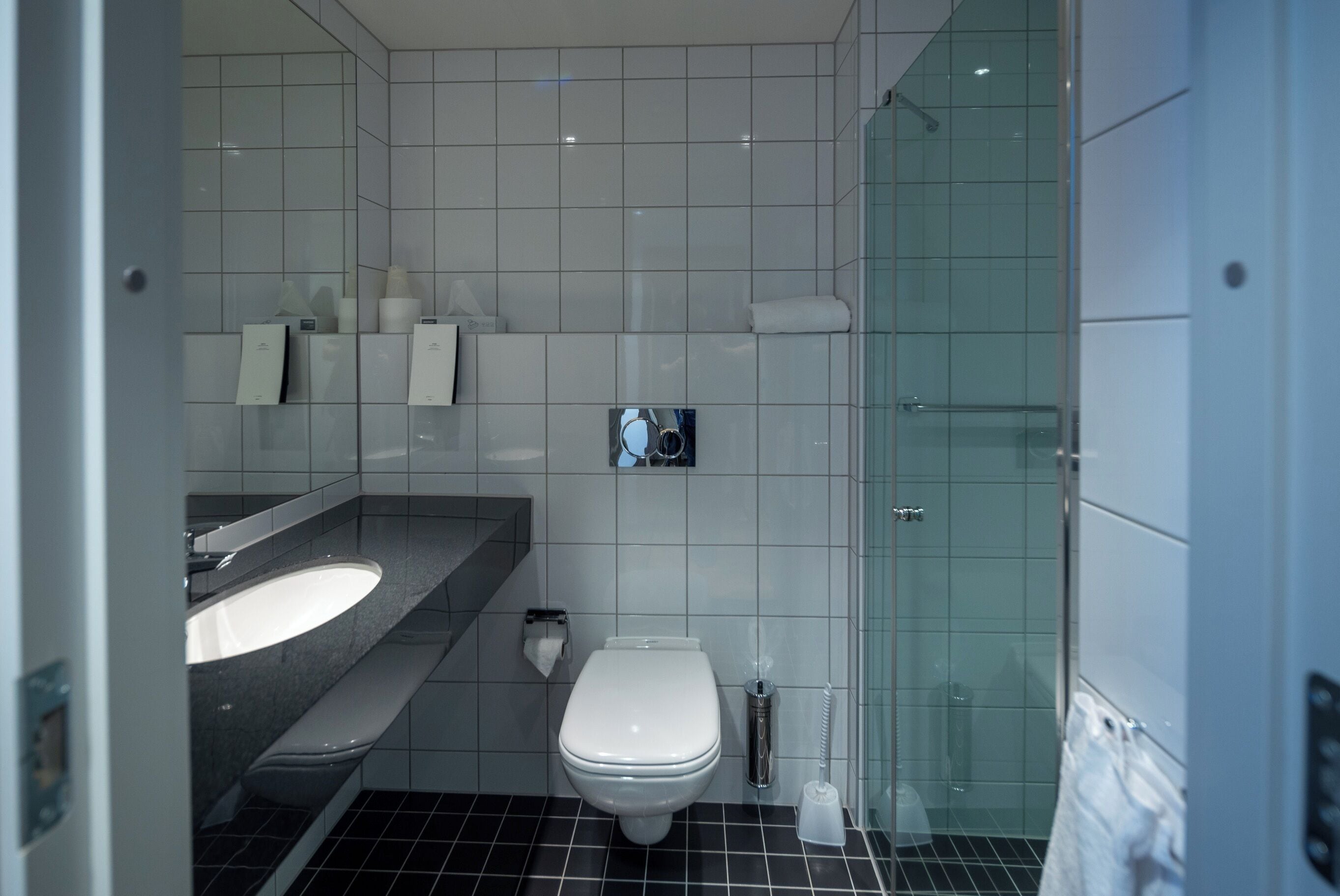 Une salle de bain moderne équipée de toilettes, d’un lavabo et d’une douche à parois en verre.