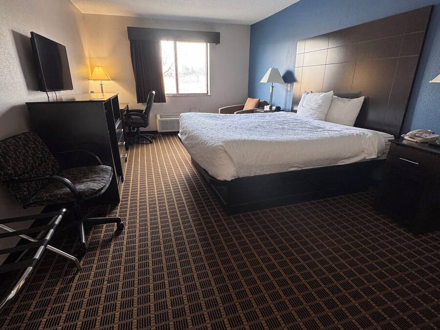 Room, 1 King Bed, Non Smoking | Desk, blackout drapes, free cribs/infant beds, rollaway beds