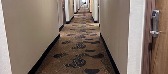 베이몬트 인 & 스위트 바이 윈덤 리치먼드