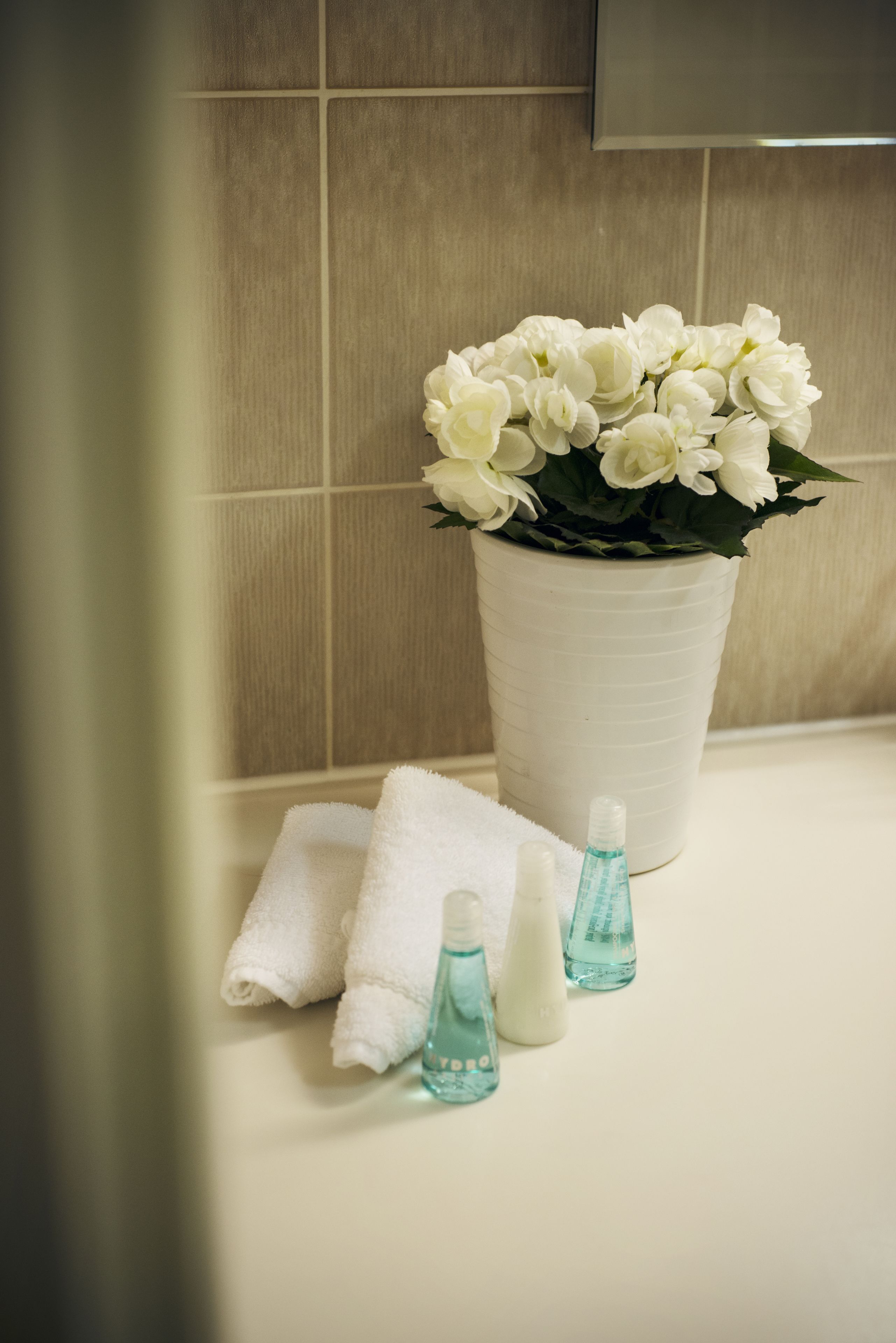 economy family room | bathroom | eco-friendly toiletries