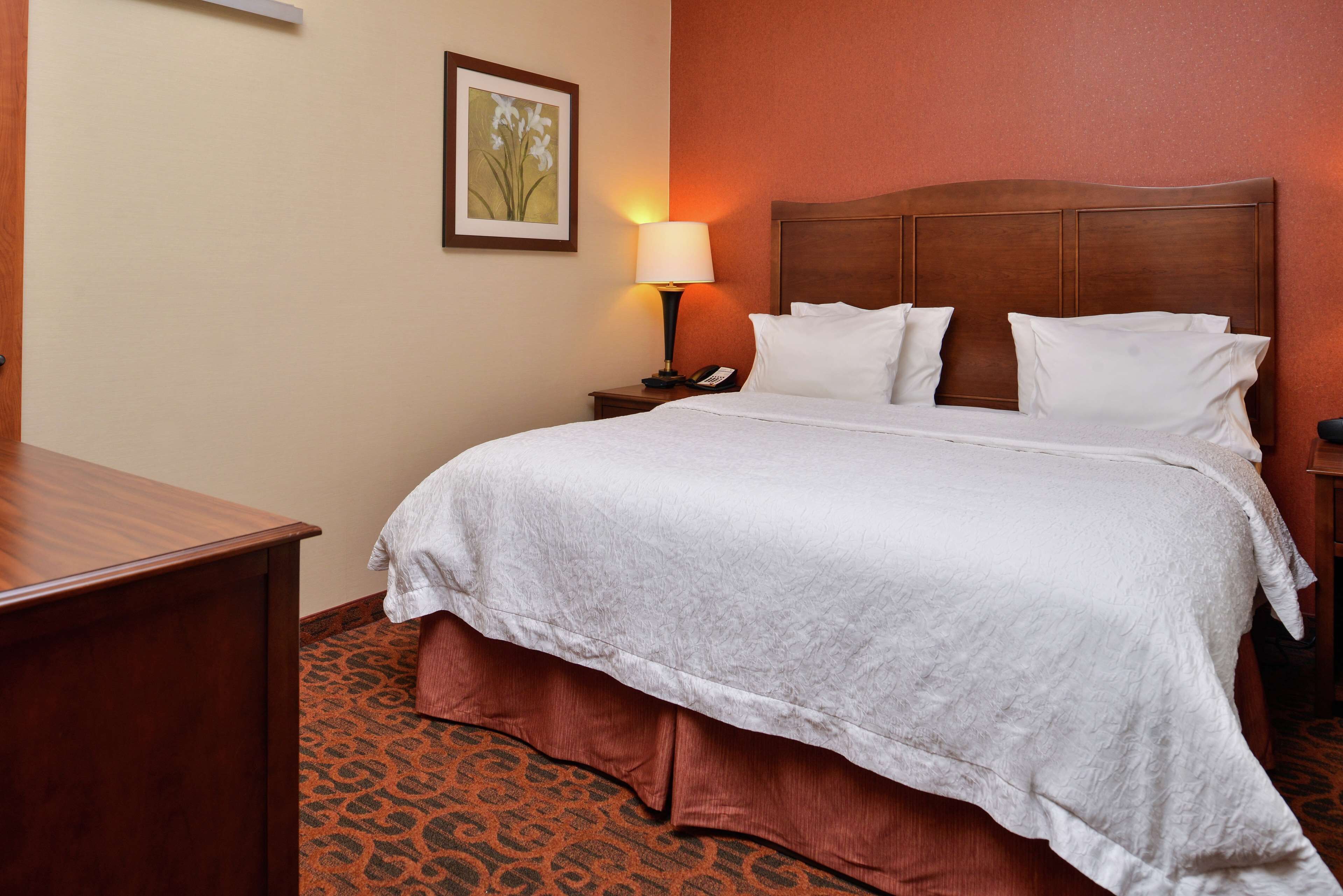 A hotel room with a large bed, a nightstand with a lamp, and a framed picture on the wall.